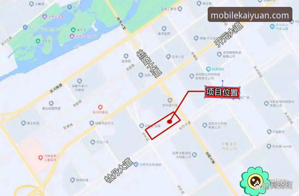 开元体育平台安全性详解：新手入门必看指南